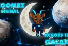 10-meme-coins-that-will-explode?-a-checklist-to-filter-the-noise-and-find-real-utility-(using-$nnz-coin-metrics)